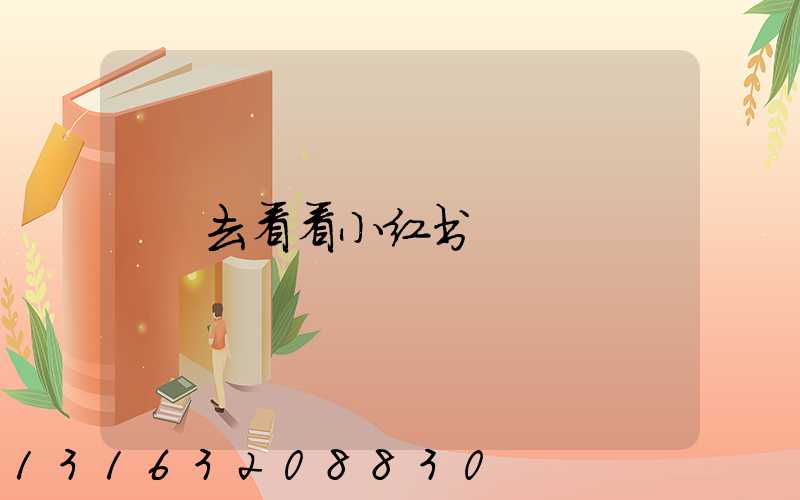 去看看小红书