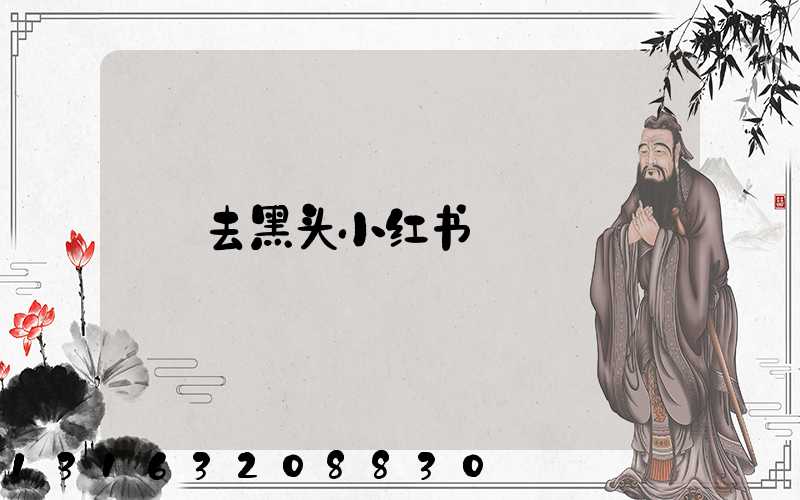 去黑头小红书