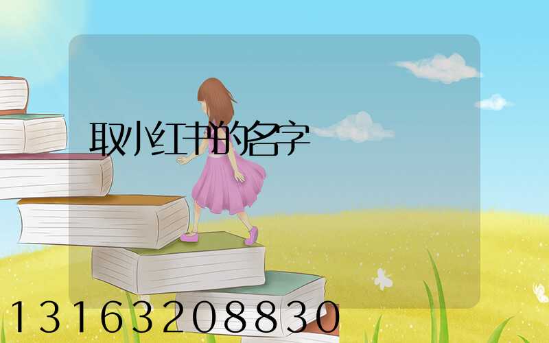 取小红书的名字