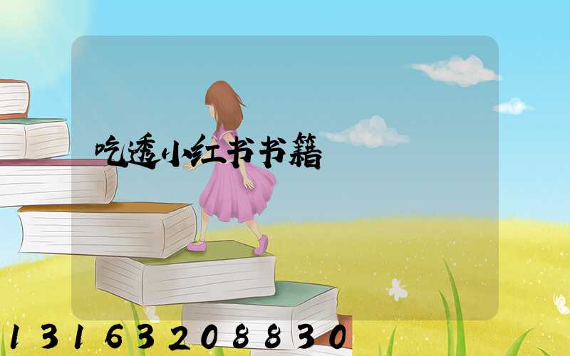 吃透小红书书籍
