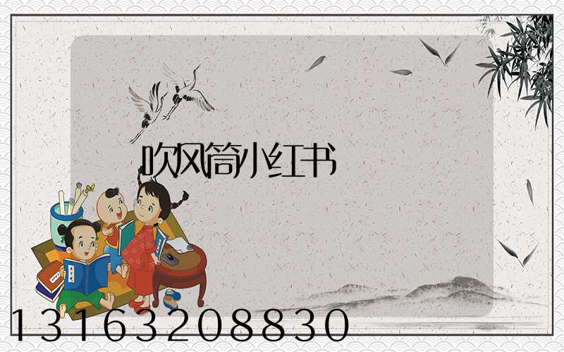 吹风筒小红书