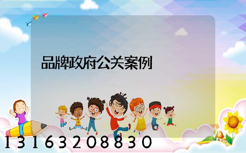 品牌政府公关案例