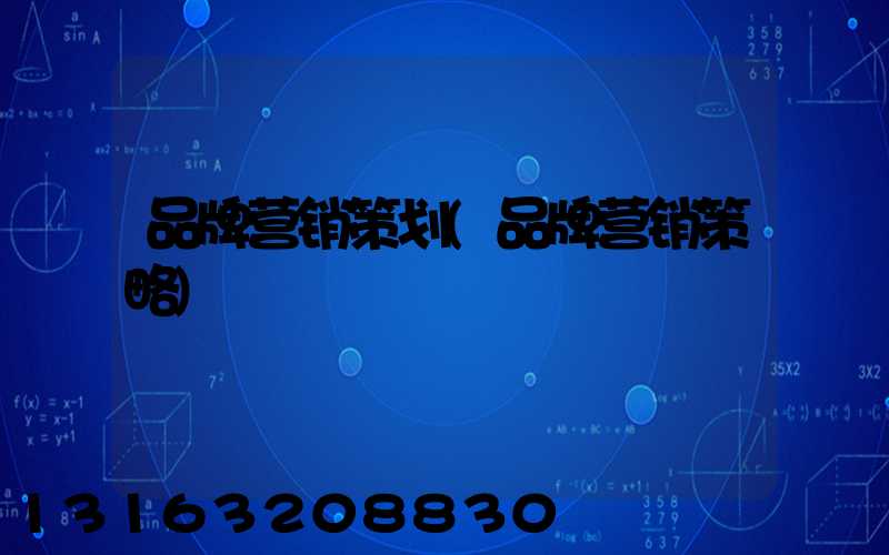 品牌营销策划(品牌营销策略)