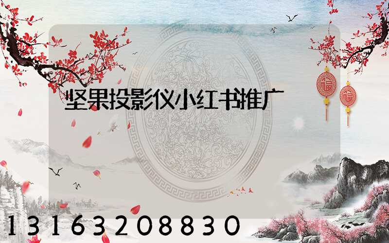 坚果投影仪小红书推广