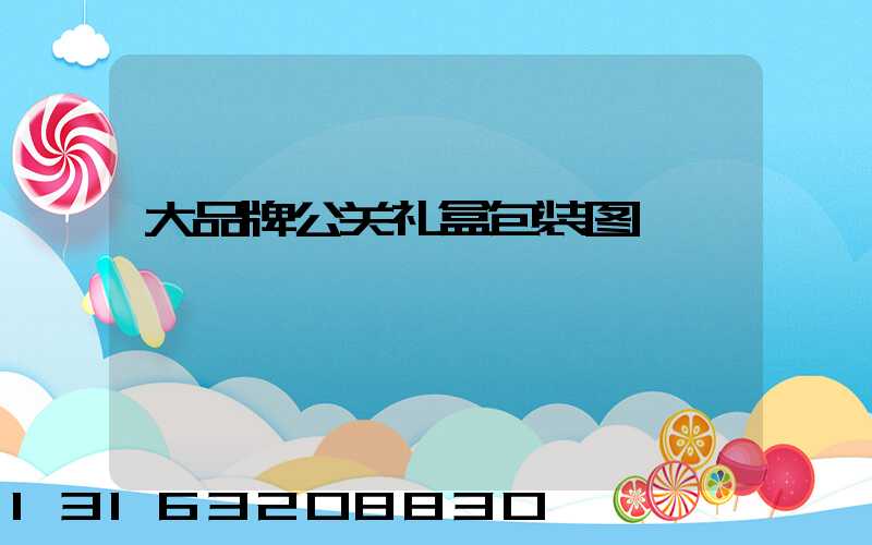 大品牌公关礼盒包装图