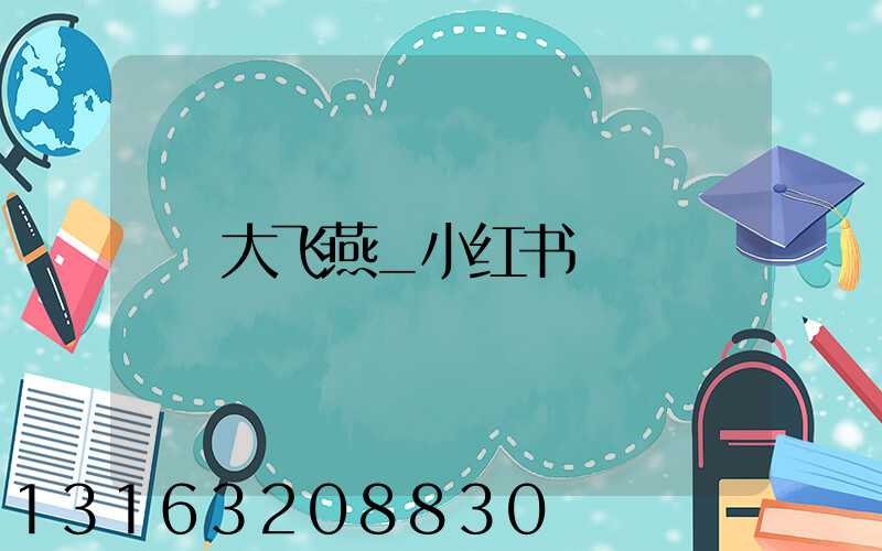 大飞燕_小红书
