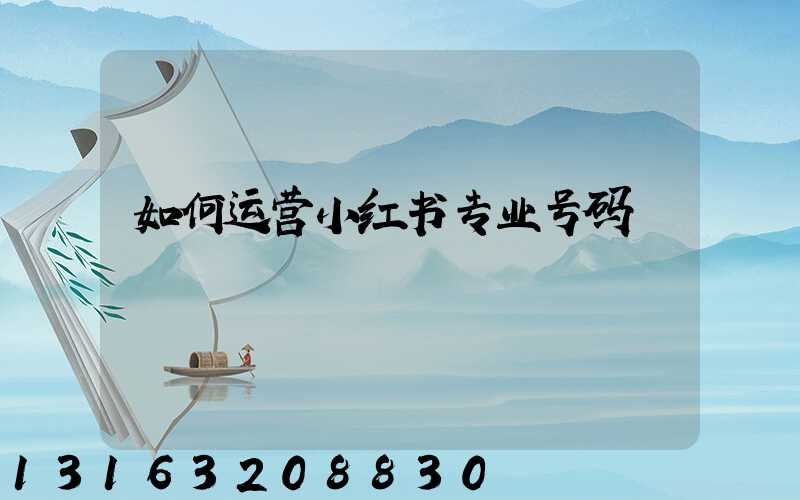 如何运营小红书专业号码