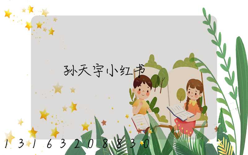 孙天宇小红书