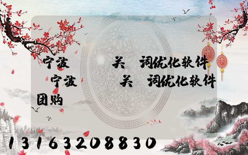 宁波seo关键词优化软件(宁波seo关键词优化软件团购)