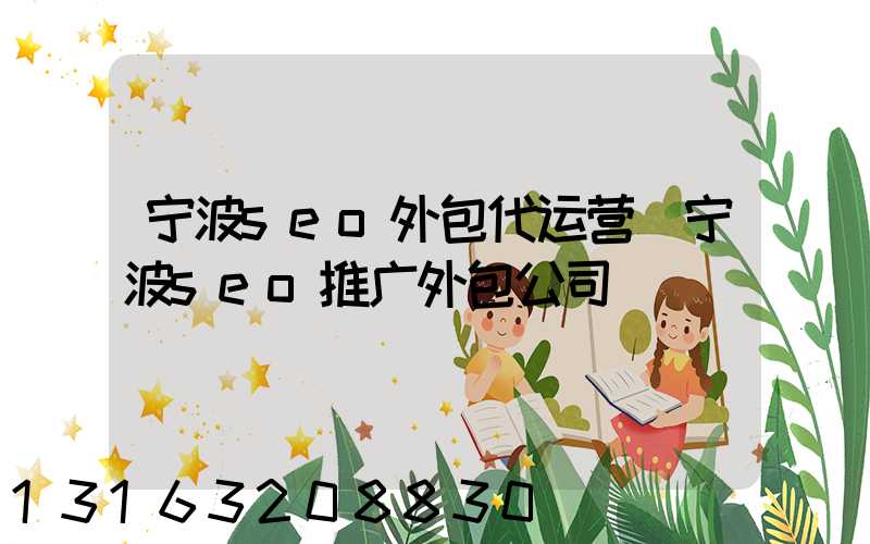 宁波seo外包代运营(宁波seo推广外包公司)