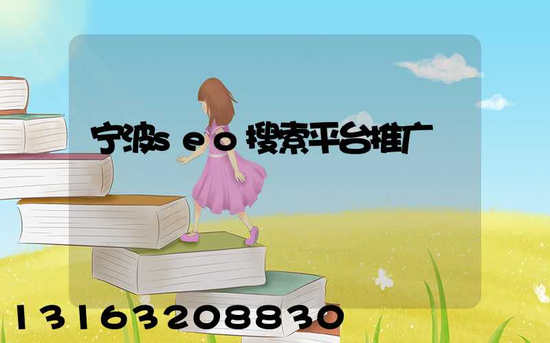 宁波seo搜索平台推广