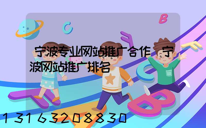 宁波专业网站推广合作(宁波网站推广排名)