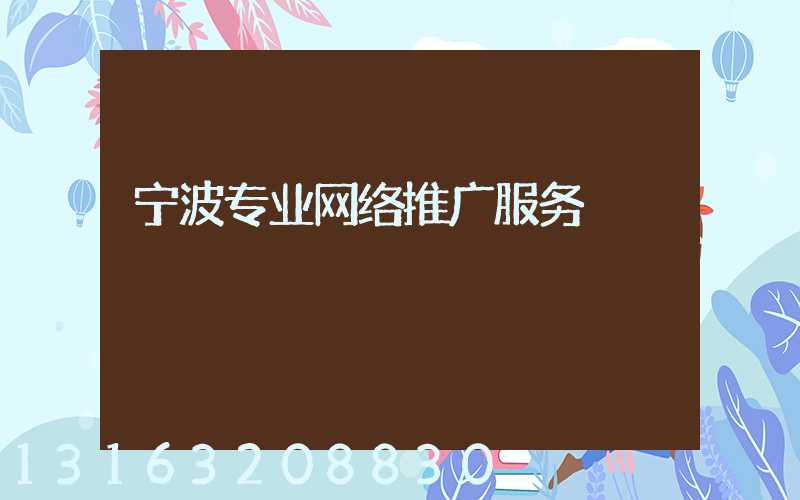宁波专业网络推广服务