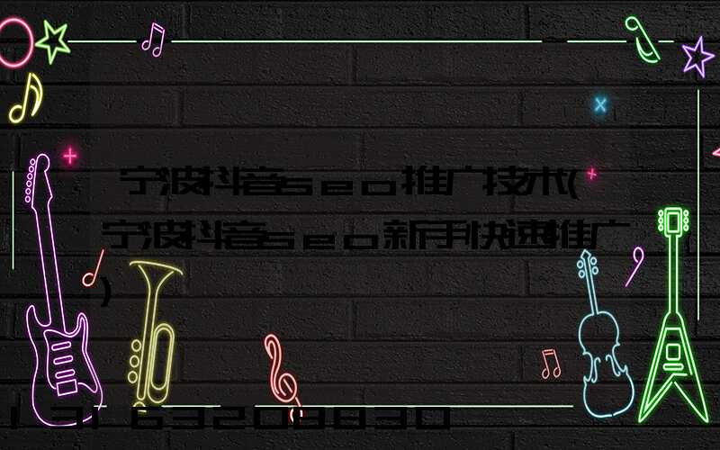 宁波抖音seo推广技术(宁波抖音seo新手快速推广)