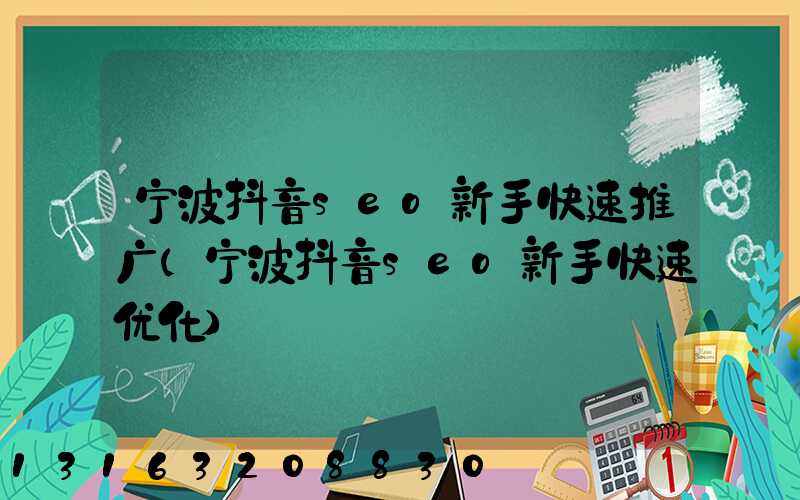 宁波抖音seo新手快速推广(宁波抖音seo新手快速优化)