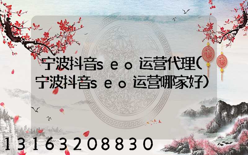 宁波抖音seo运营代理(宁波抖音seo运营哪家好)