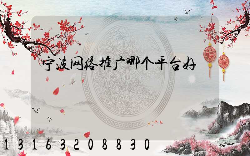 宁波网络推广哪个平台好