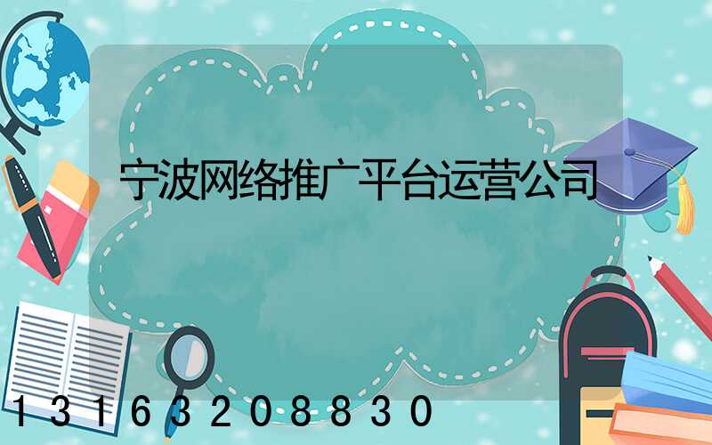 宁波网络推广平台运营公司