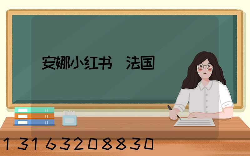 安娜小红书_法国