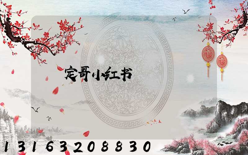 定哥小红书