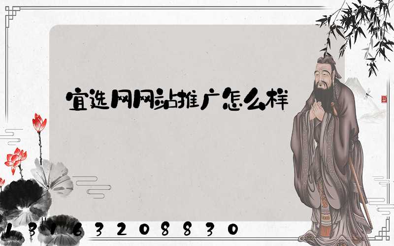 宜选网网站推广怎么样