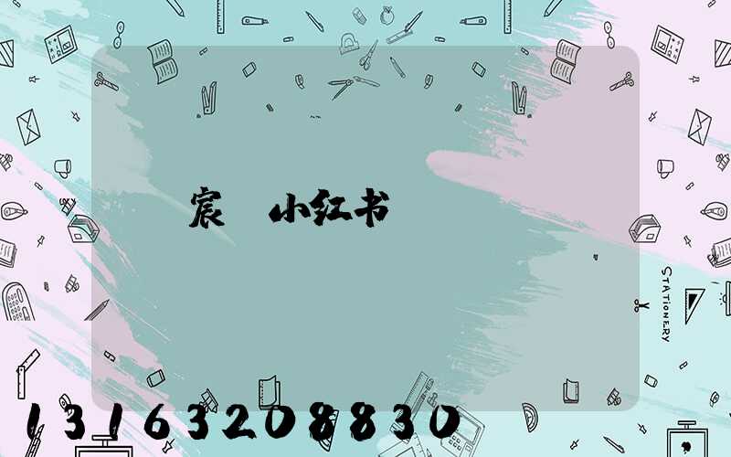 宸玥小红书
