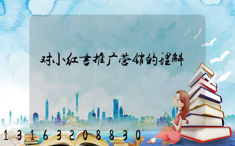 对小红书推广营销的理解