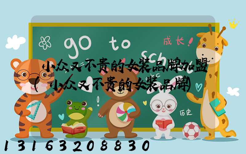 小众又不贵的女装品牌加盟(小众又不贵的女装品牌)