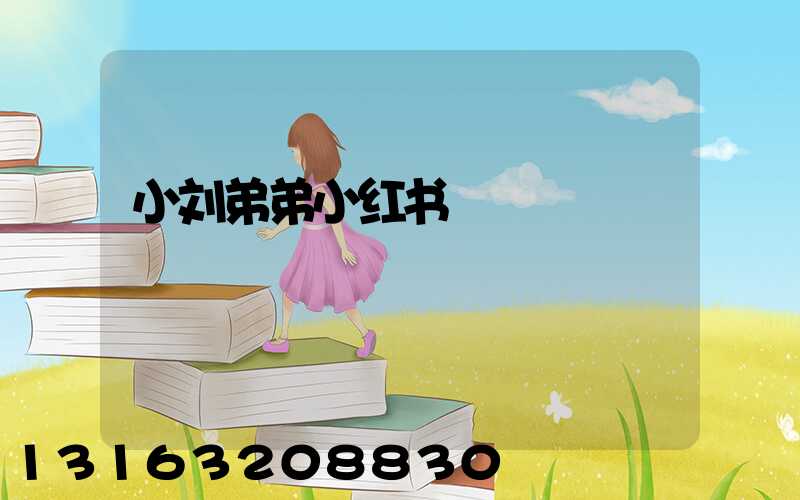 小刘弟弟小红书
