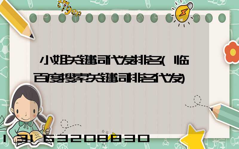 小姐关键词代发排名(临汾百度搜索关键词排名代发)