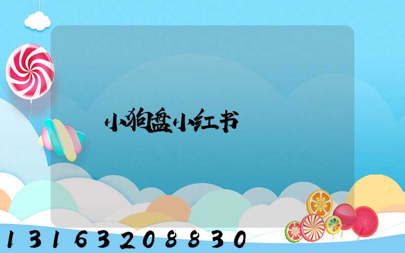 小狗盘小红书