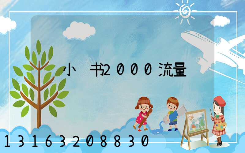 小红书2000流量