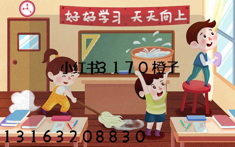 小红书3170橙子