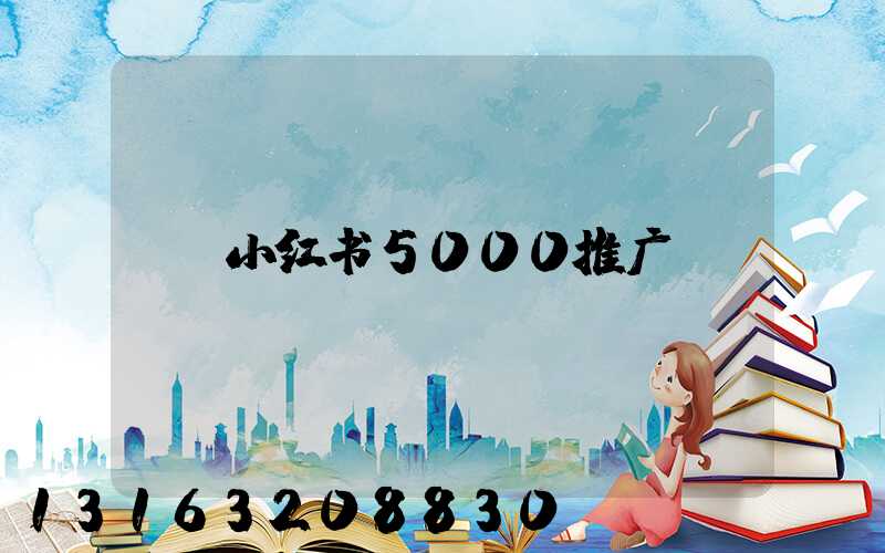 小红书5000推广