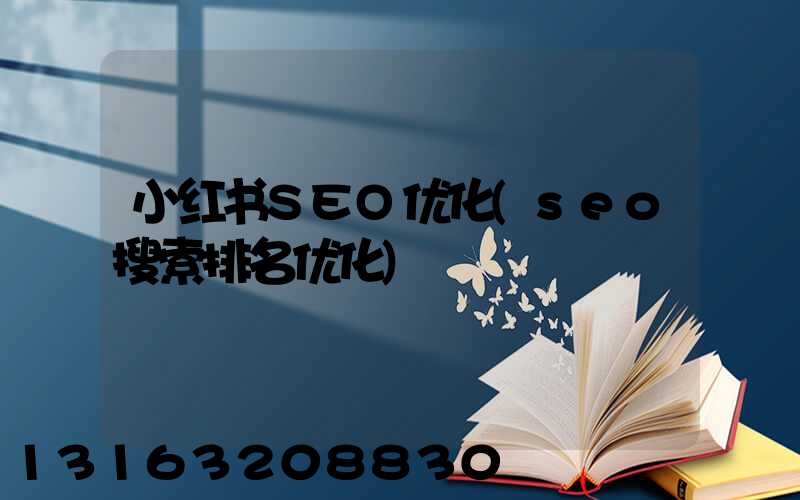 小红书SEO优化(seo搜索排名优化)