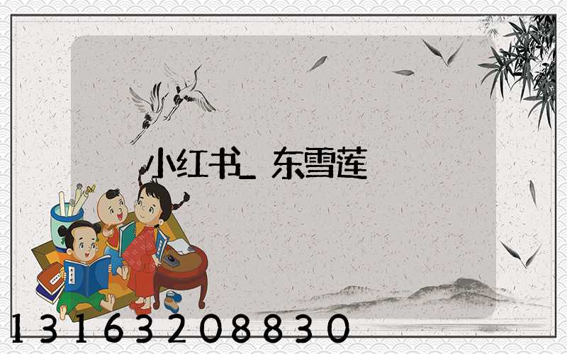 小红书_东雪莲