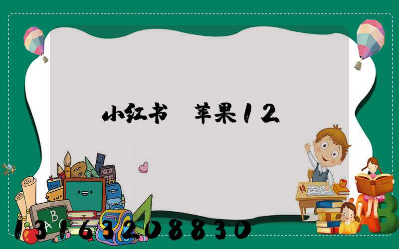 小红书_苹果12