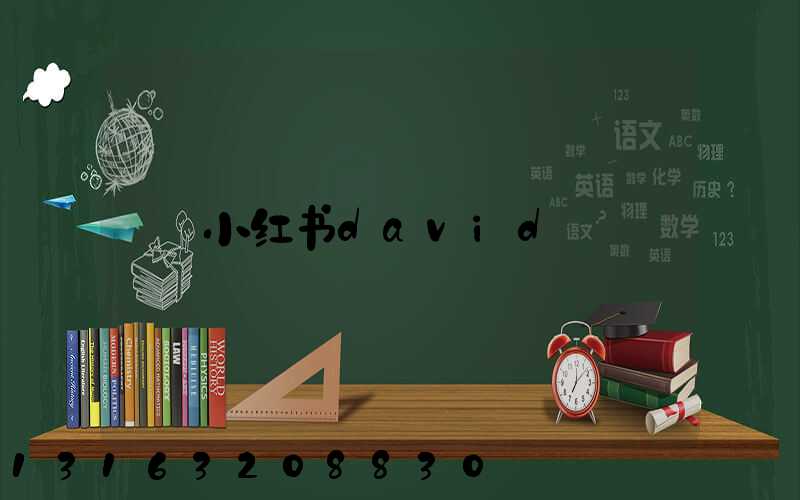 小红书david