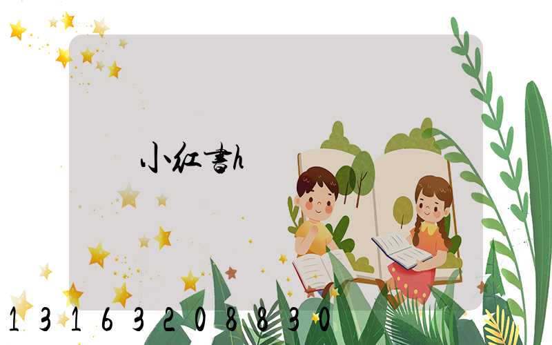 小红书h