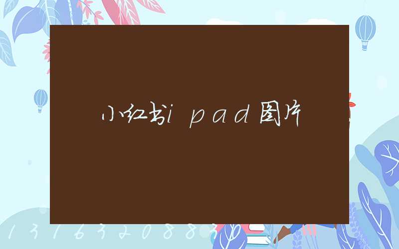 小红书ipad图片