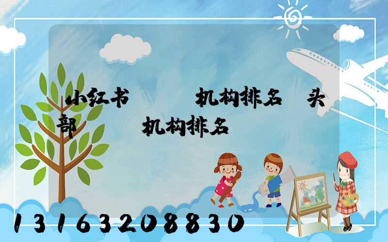 小红书mcn机构排名(头部mcn机构排名)