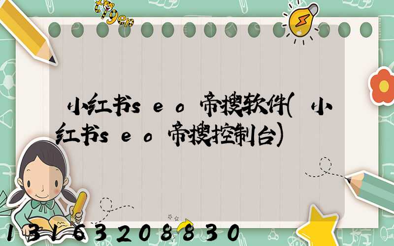 小红书seo帝搜软件(小红书seo帝搜控制台)