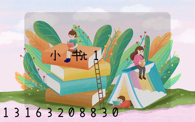小红书t1