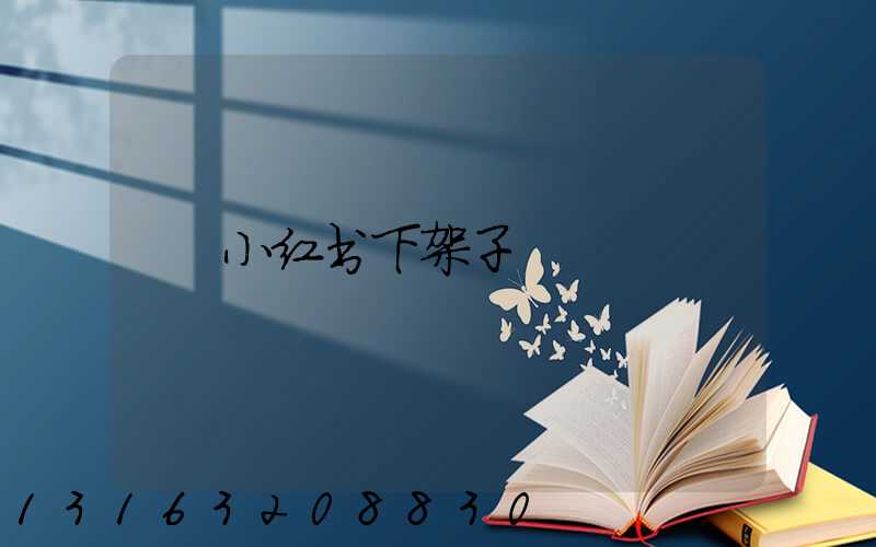 小红书下架子