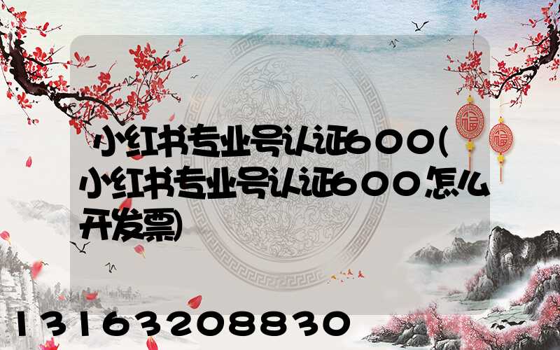 小红书专业号认证600(小红书专业号认证600怎么开发票)