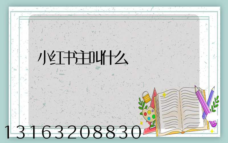 小红书主叫什么