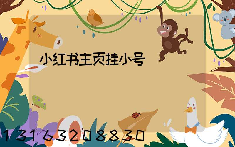 小红书主页挂小号