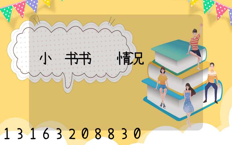 小红书书运营情况