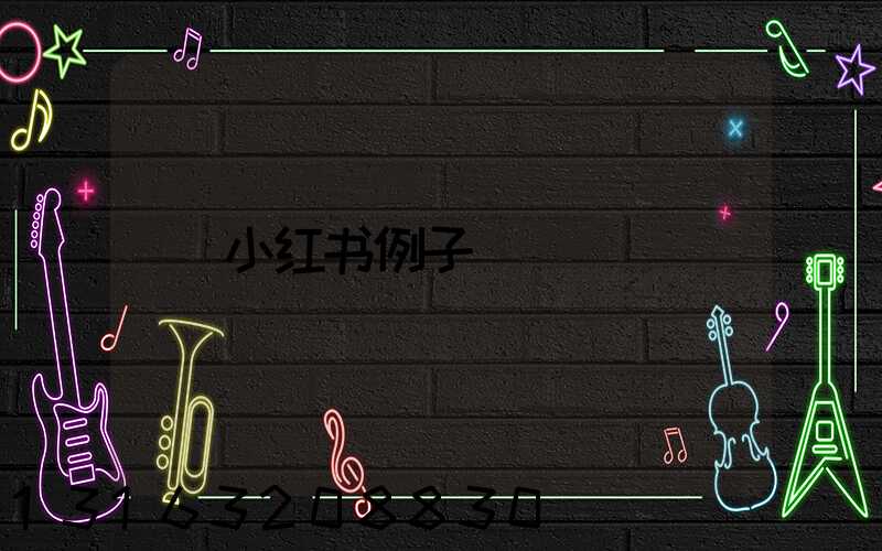 小红书例子