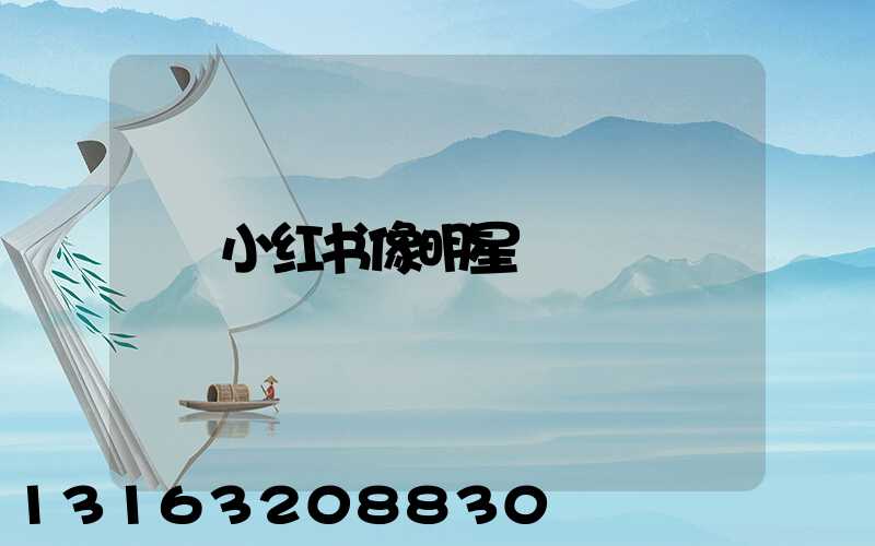 小红书像明星